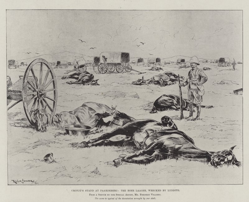 Cronje standja Paardebergnél, a Boer Laager, Lyddite tönkretette alkotó: Ralph Cleaver