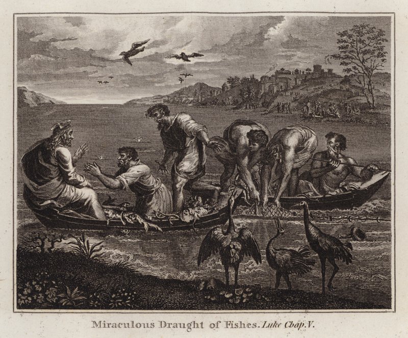 Raphael rajzfilm: Miraculous Draft of Fishes, Luke, Chap V (metszet) alkotó: after Raphael