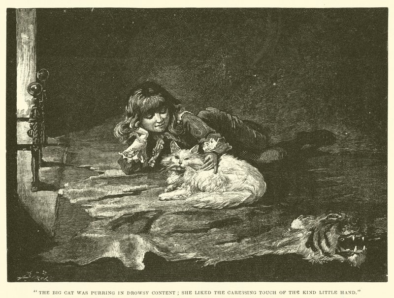Illusztráció a kis Lord Fauntleroy számára alkotó: Reginald Bathurst Birch