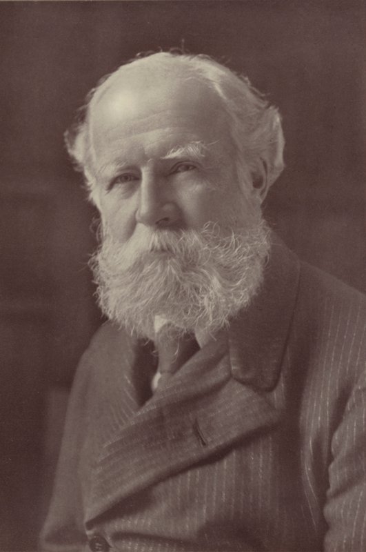 Lord Avebury (f/w fotó) alkotó: Reginald Haines