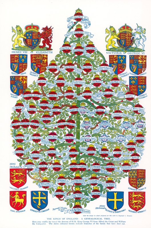 The Kings Of England, A Genealogical Tree (színes litográfia) alkotó: Reginald & Horace (1884 1954) Knowles