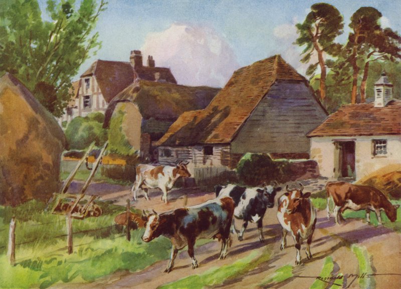 Illusztráció a My Farmhoz (színes litó) alkotó: Reginald Mills