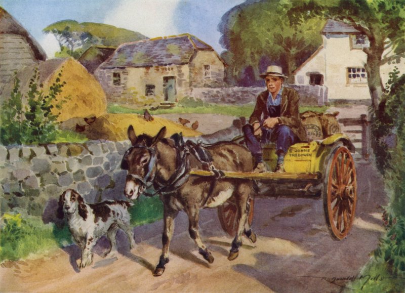 Illusztráció a My Farmhoz (színes litó) alkotó: Reginald Mills