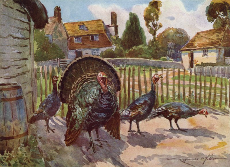 Illusztráció a My Farmhoz (színes litó) alkotó: Reginald Mills