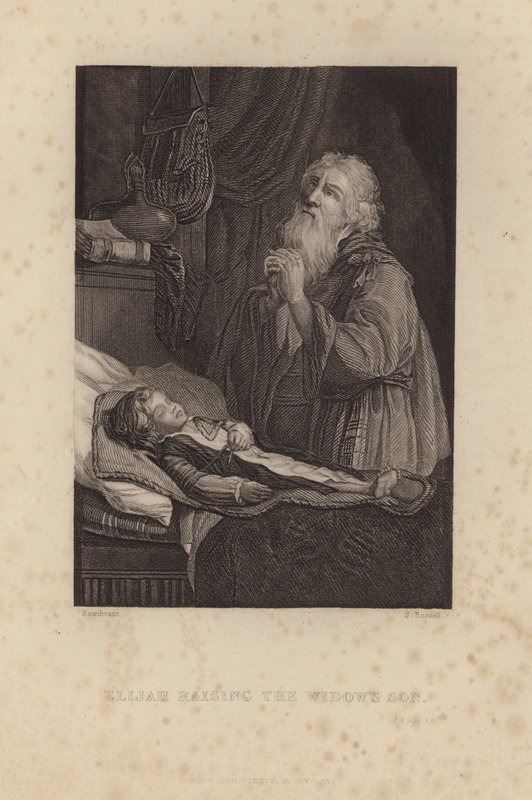 Illés felneveli az özvegy fiát alkotó: Rembrandt van Rijn