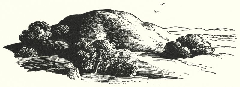 Hans Christian Andersen: Az Elfin-hegy (litho) alkotó: Rex (after) Whistler