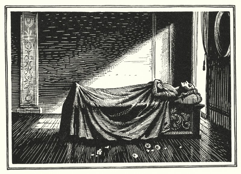 Hans Christian Andersen: A szerencse galócai (litho) alkotó: Rex (after) Whistler