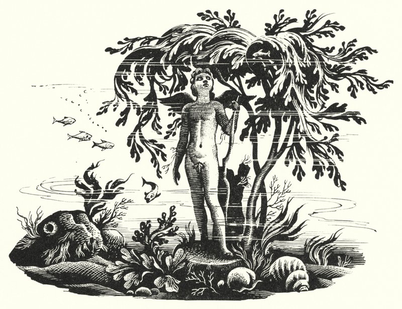 Hans Christian Andersen: A kis hableány (litho) alkotó: Rex (after) Whistler