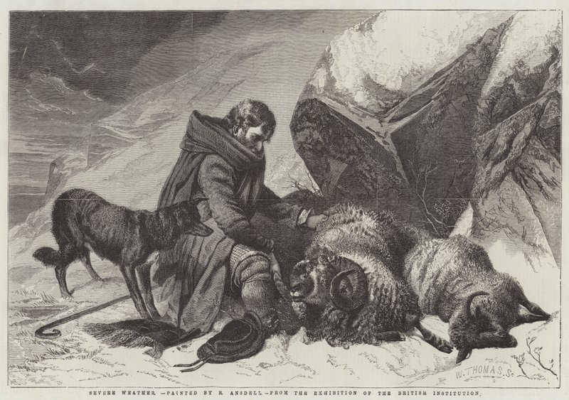 Viharos időjárás alkotó: Richard Ansdell