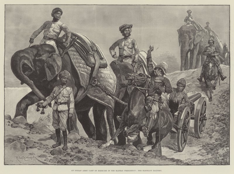 Egy indiai hadsereg gyakorlótábora a Madras elnökségében, az elefántüteg alkotó: Richard Caton Woodville junior
