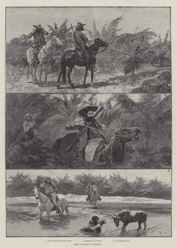Szarvasvadászat Floridában alkotó: Richard Caton Woodville junior