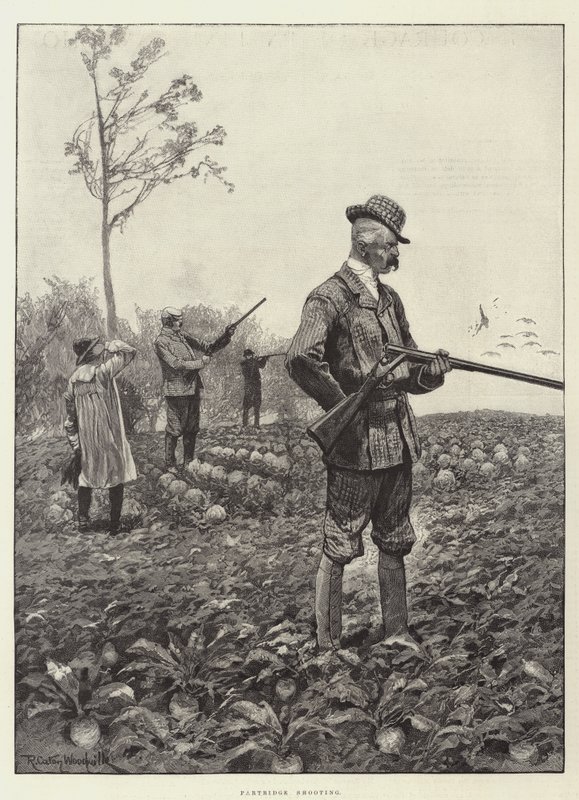 Partridge Shooting alkotó: Richard Caton Woodville junior
