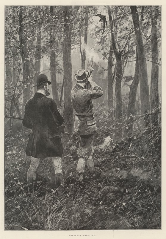 Fácánlövés alkotó: Richard Caton Woodville junior