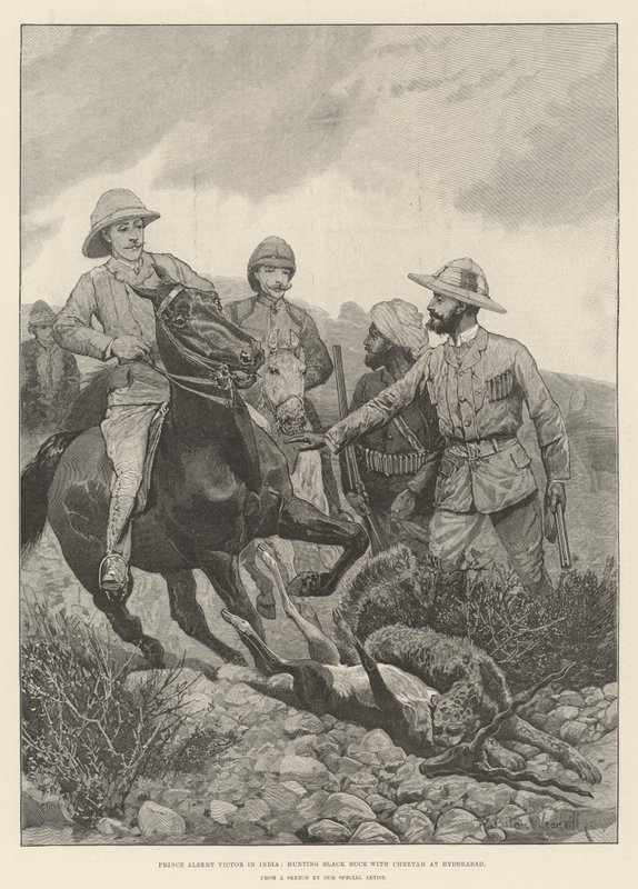 Albert Viktor herceg Indiában, fekete bakra vadászik gepárddal Hyderabadban alkotó: Richard Caton Woodville junior