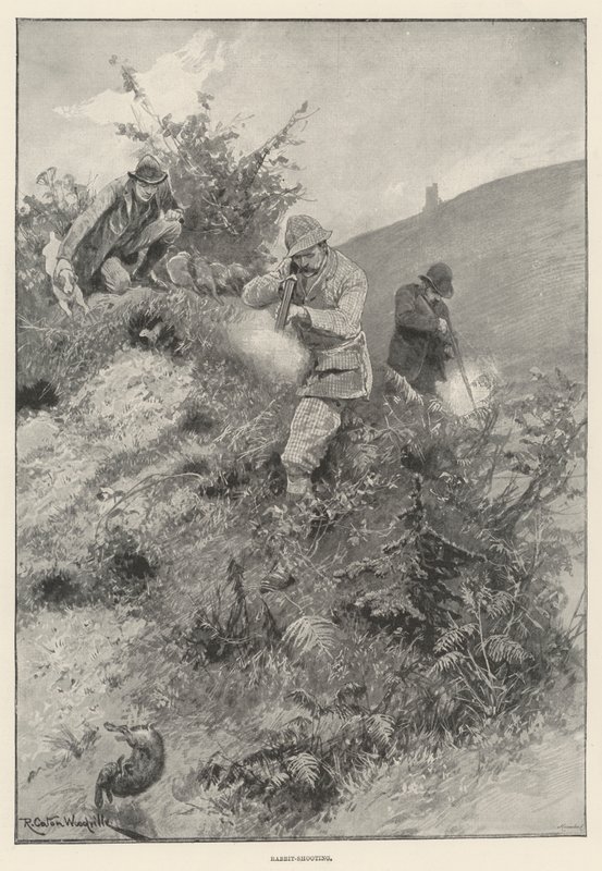 Nyúllövészet alkotó: Richard Caton Woodville junior