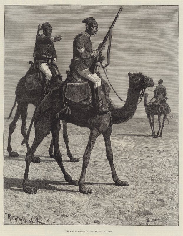 Az egyiptomi hadsereg tevehadteste alkotó: Richard Caton Woodville junior
