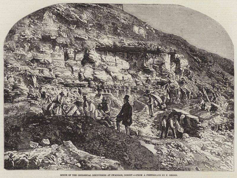 A geológiai felfedezések jelenete Swanage-ban, Dorsetben alkotó: Richard Principal Leitch