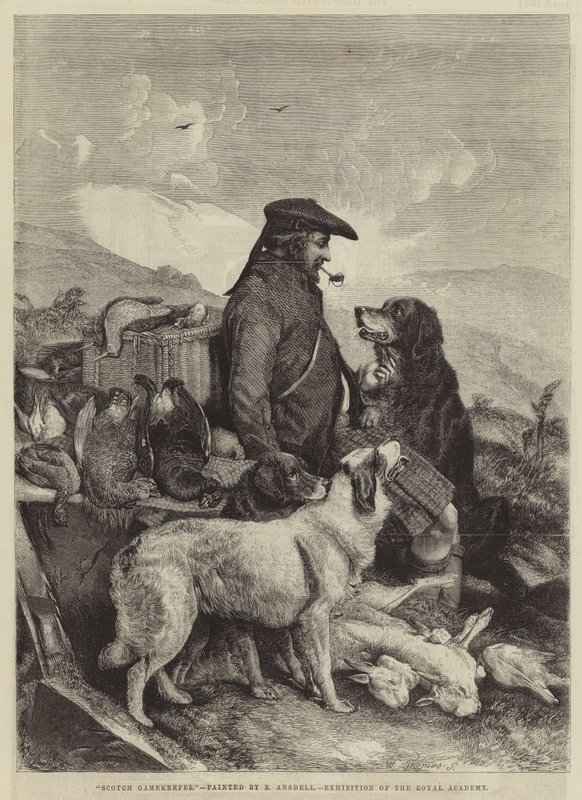 skót vadőr alkotó: Richard Ansdell