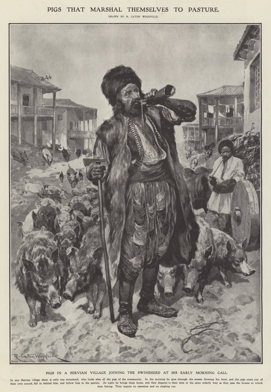 Disznók, amelyek legelőre vonulnak (litho) alkotó: Richard Caton II (after) Woodville