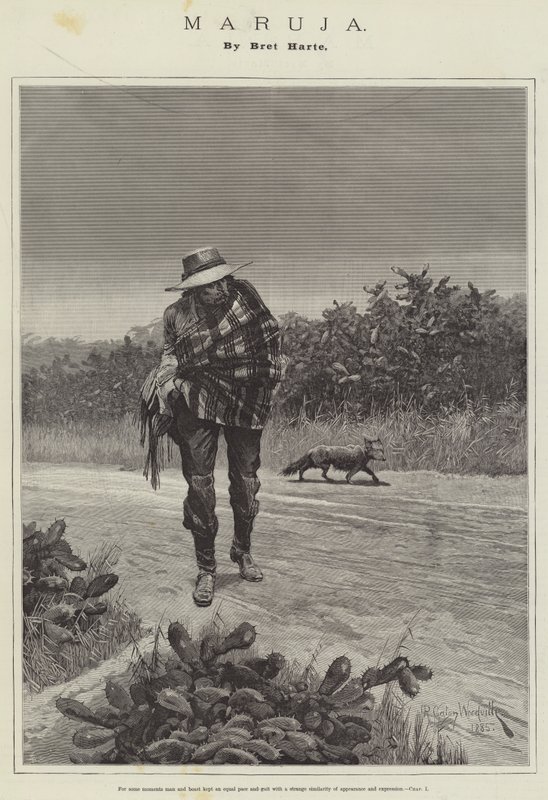 Maruja, írta Bret Harte alkotó: Richard Caton Woodville junior