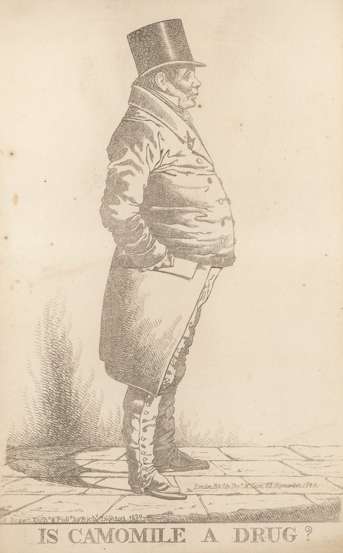 Bowden úr; A kamilla drog alkotó: Richard Dighton