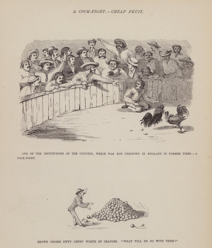 Oldal a Brown, Jones és Robinson urak amerikai körútjából (metszet) alkotó: Richard Doyle