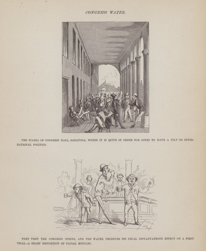 Oldal a Brown, Jones és Robinson urak amerikai körútjából (metszet) alkotó: Richard Doyle