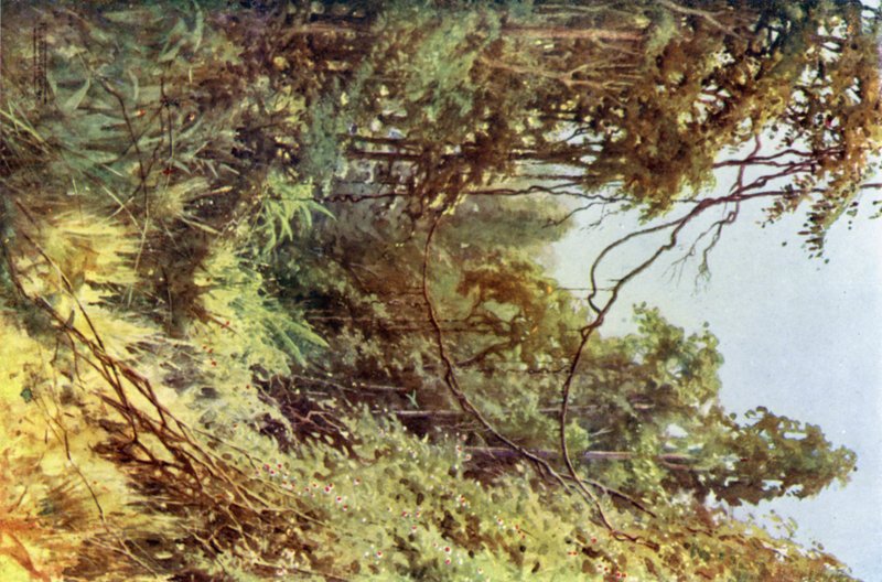 Egy erdei tisztás alkotó: Robert George Talbot Kelly