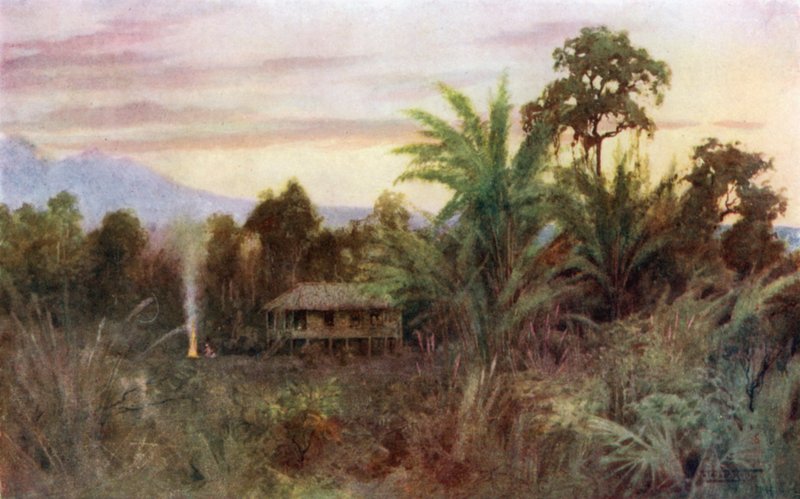 Egy Forest Tai alkotó: Robert George Talbot Kelly