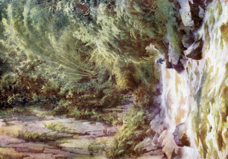 Hegyi Torrent alkotó: Robert George Talbot Kelly