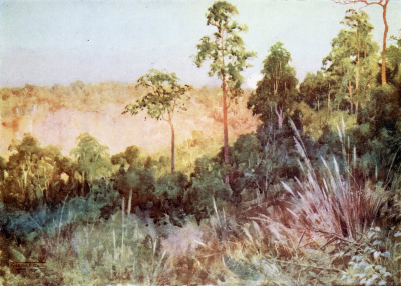 Dzsungel a Lashio vonalon alkotó: Robert George Talbot Kelly