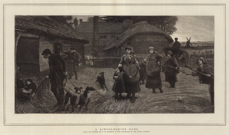Egy Lincolnshire-i banda alkotó: Robert Walker Macbeth