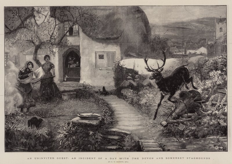 Egy hívatlan vendég, egy nap incidense Devon és Somerset sztárkutyákkal alkotó: Robert Walker Macbeth