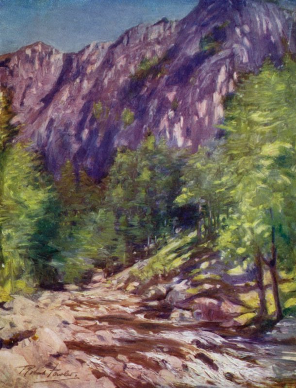 Aberglaslyn (színes litó) alkotó: Robert (after) Fowler