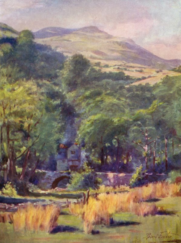 Duffws Mountain (színes litó) alkotó: Robert (after) Fowler