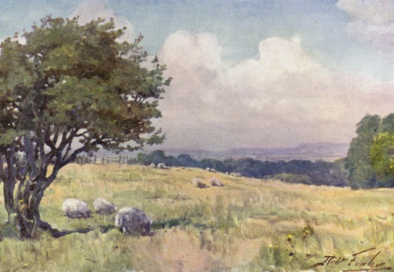 Sunny Field, Llanberis közelében (színes litho) alkotó: Robert (after) Fowler