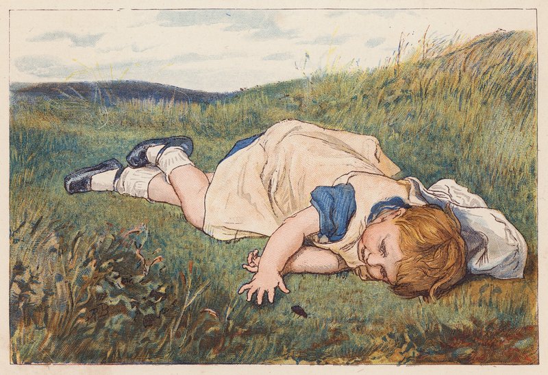 Egy bogár által lenyűgözött lány (színes litográfia) alkotó: Robert Barnes
