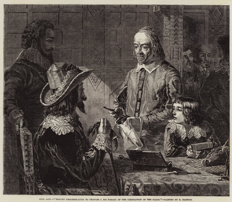 Harvey bemutatja I. Károlynak a vér keringéséről szóló elméletét. alkotó: Robert Hannah