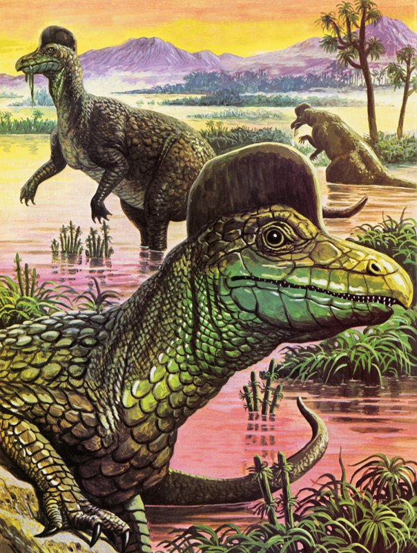 Corythosaurus alkotó: Roger Payne