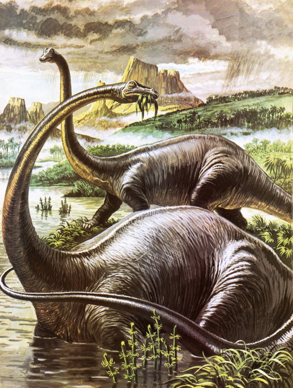 Diplodocus alkotó: Roger Payne