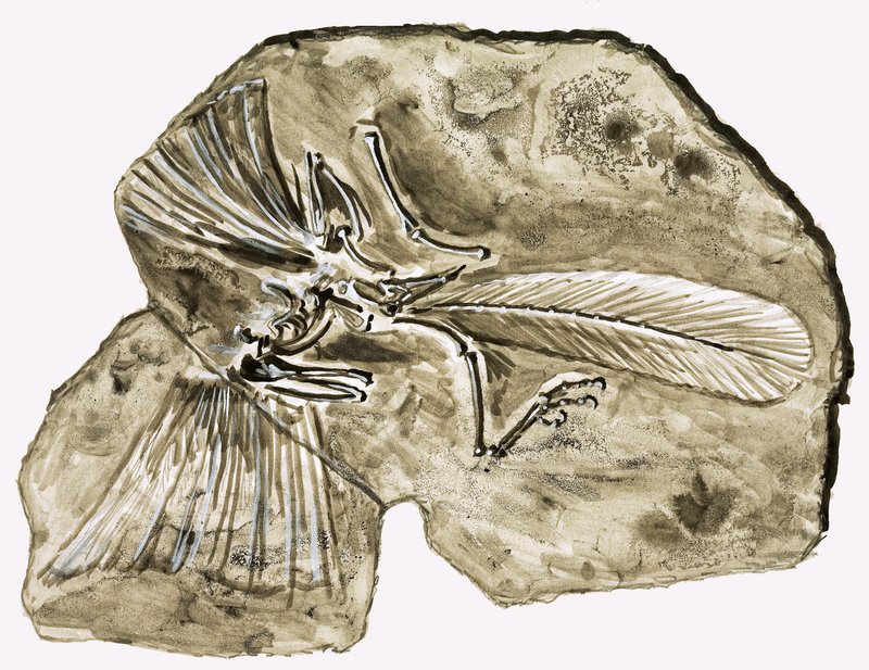 A dinoszauruszok korában: Titok a kőben alkotó: Roger Payne