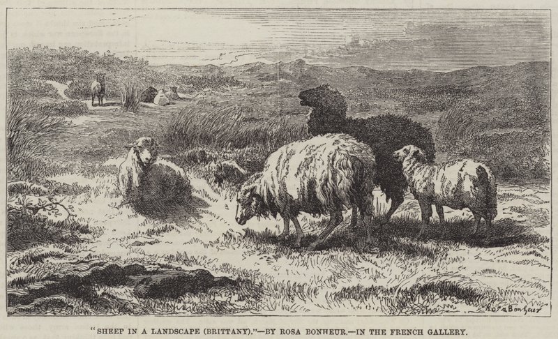 Birkák a tájban, Bretagne alkotó: Rosa Bonheur