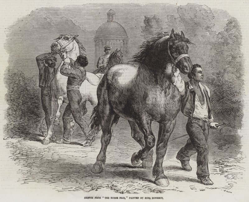 Vázlat a Lóvásárból alkotó: Rosa Bonheur