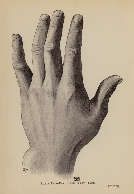 Az elemi kéz (litho) alkotó: Rosamund Brunel Horsley Gotch