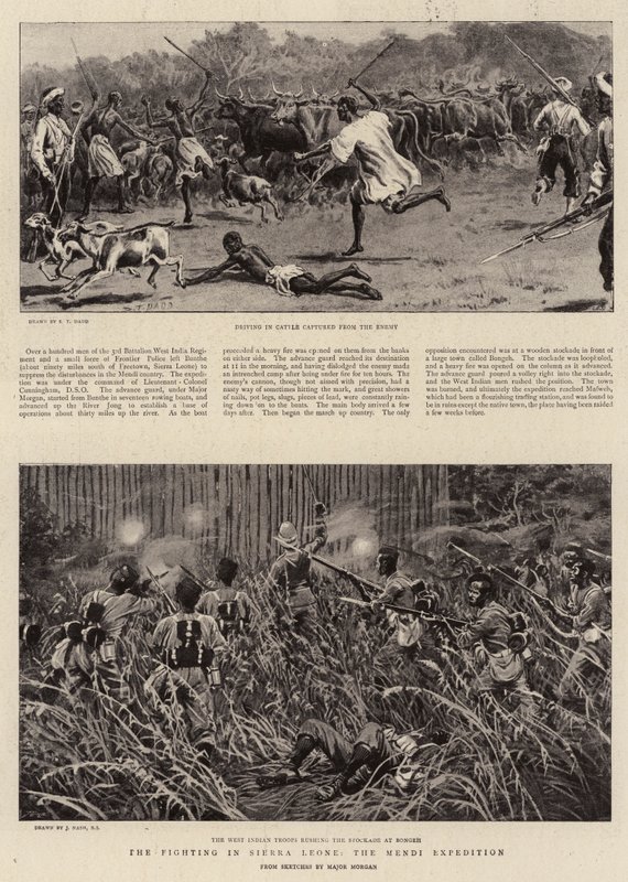 A Sierra Leone-i harcok, a Mendi-expedíció alkotó: S.T. Dadd