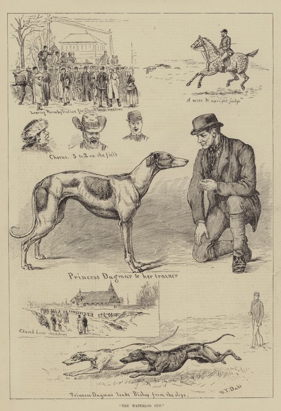 A Waterloo kupa alkotó: S.T. Dadd