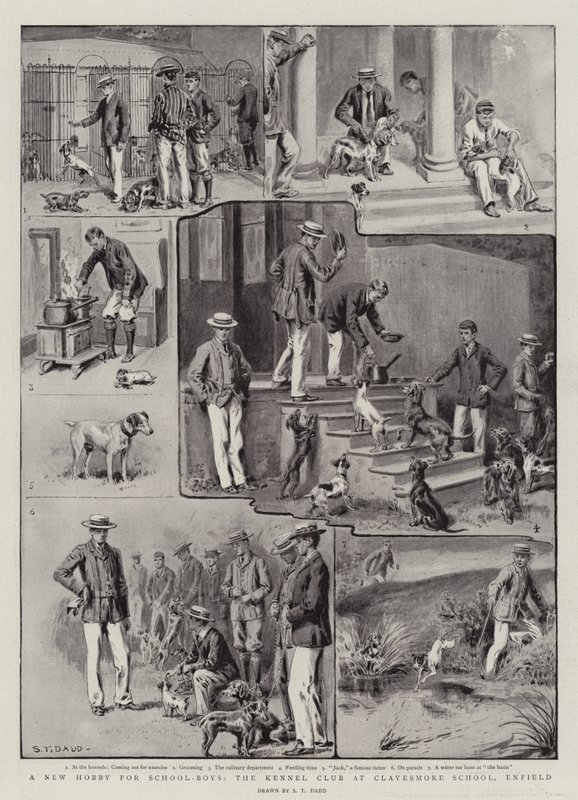 Egy új hobbi iskolás fiúknak, a Kennel Club a Clayesmore Schoolban, Enfieldben alkotó: S.T. Dadd