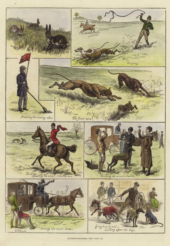 Pályafutási mérkőzések alkotó: S.T. Dadd