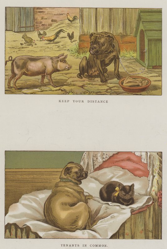 Humoros kutyák (chromolitho) alkotó: S.T. Dadd
