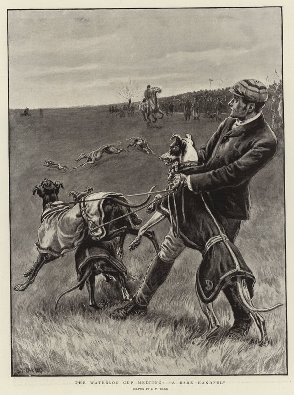 A Waterloo Kupa találkozó, Egy ritka maroknyi alkotó: S.T. Dadd